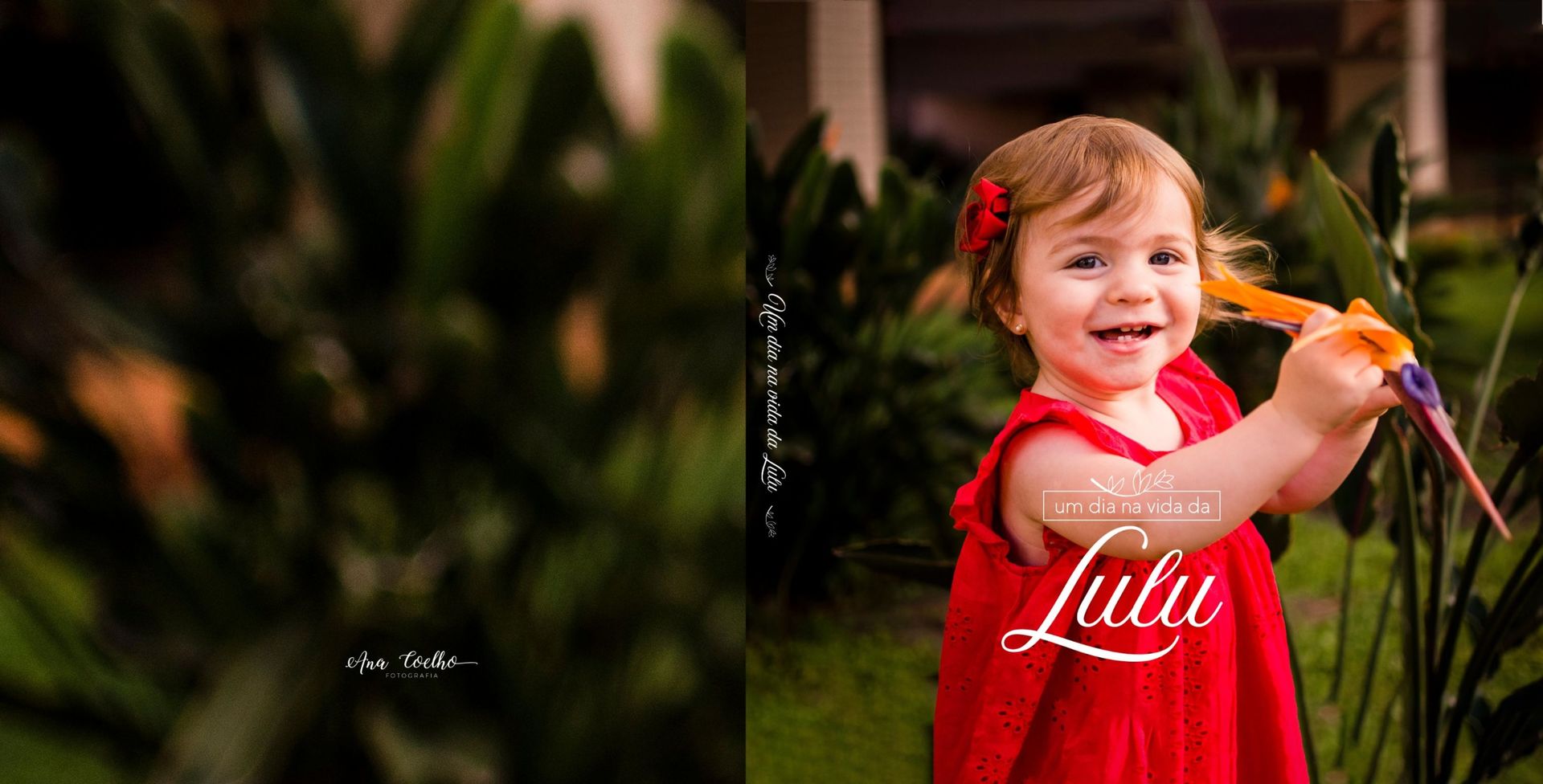 Foto Design de álbum de ensaio | um dia na vida da Lulu - Imagem 1