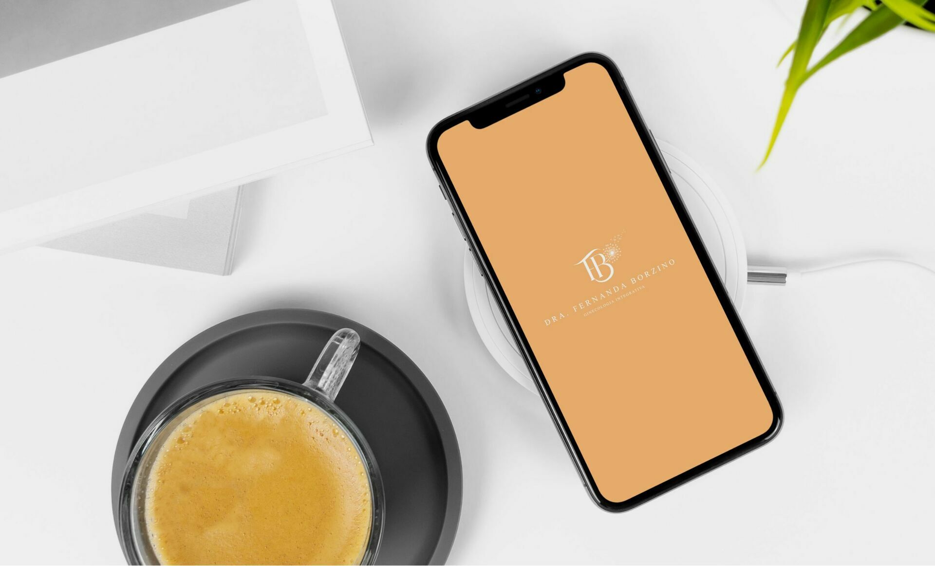 Foto Marca - Dra. Fernanda Borzino - Imagem 13